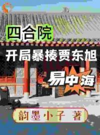 《四合院：开局暴揍易中海贾东旭》周开阳周开月小说在线阅读